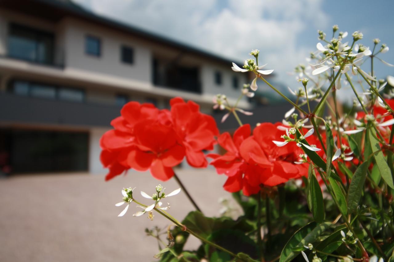 Tholr - Ferienwohnungen - Tramin Termeno Bagian luar foto